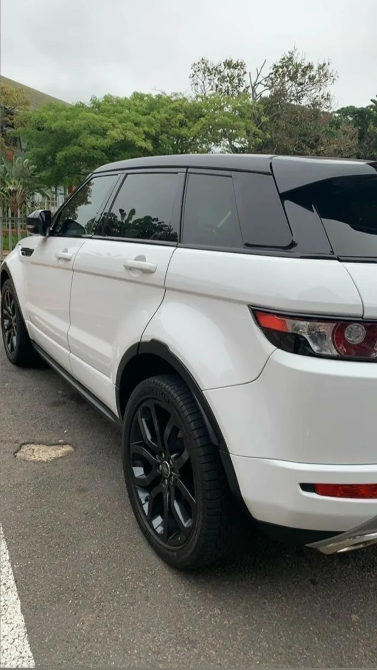 1000048297_02828c51b237f9448d0f